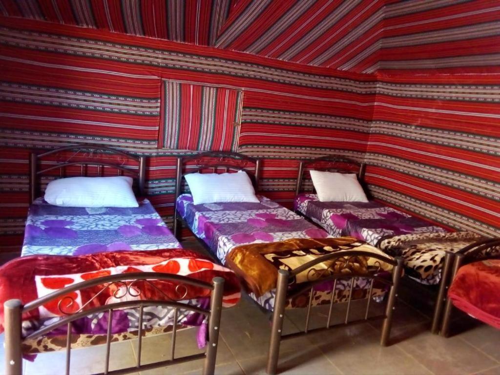 Wadi Rum Moon Camp Extérieur photo