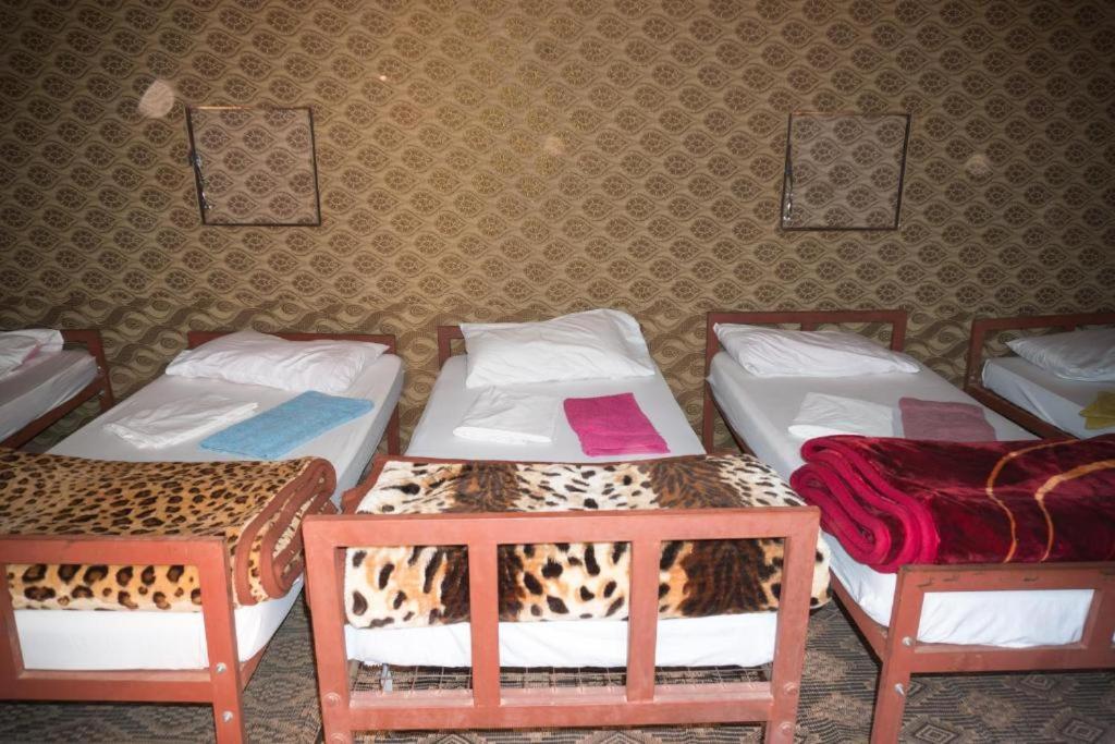 Wadi Rum Moon Camp Extérieur photo