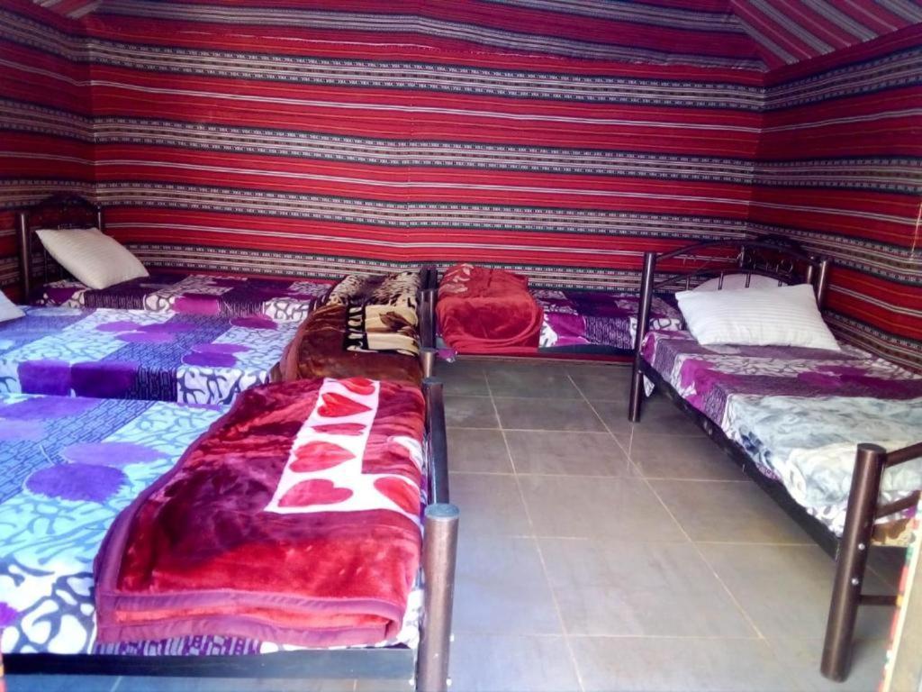 Wadi Rum Moon Camp Extérieur photo