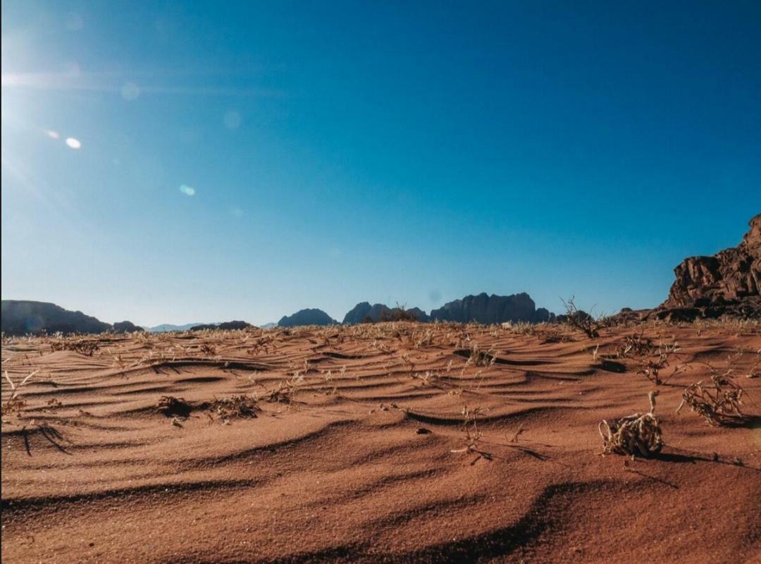 Wadi Rum Moon Camp Extérieur photo